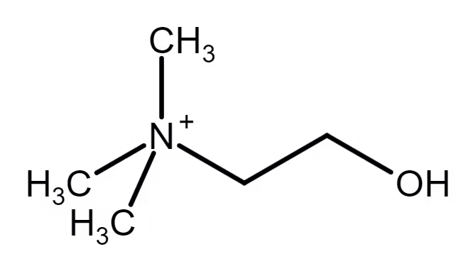choline molecule chemical structure
