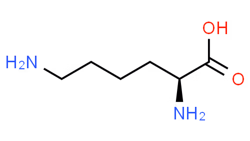 lysine molecule for nootropic benefits