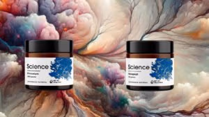 Comparing the effects of Noopept and Piracetam on neural connections.